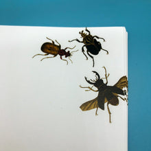 Load image into Gallery viewer, Wholesale Vintage Bugs Writing Paper Compendium - Mustard and Gray Trade Homeware and Gifts - Made in Britain