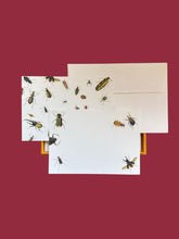 Load image into Gallery viewer, Vintage Bugs Notecard Set with Laid Envelopes
