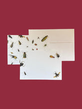 Load image into Gallery viewer, Vintage Bugs Notecard Set with Laid Envelopes
