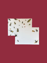 Load image into Gallery viewer, Vintage Bugs Notecard Set with Laid Envelopes
