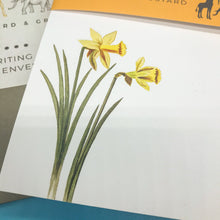 Load image into Gallery viewer, Wholesale Daffodil Writing Paper Compendium - Mustard and Gray Trade Homeware and Gifts - Made in Britain
