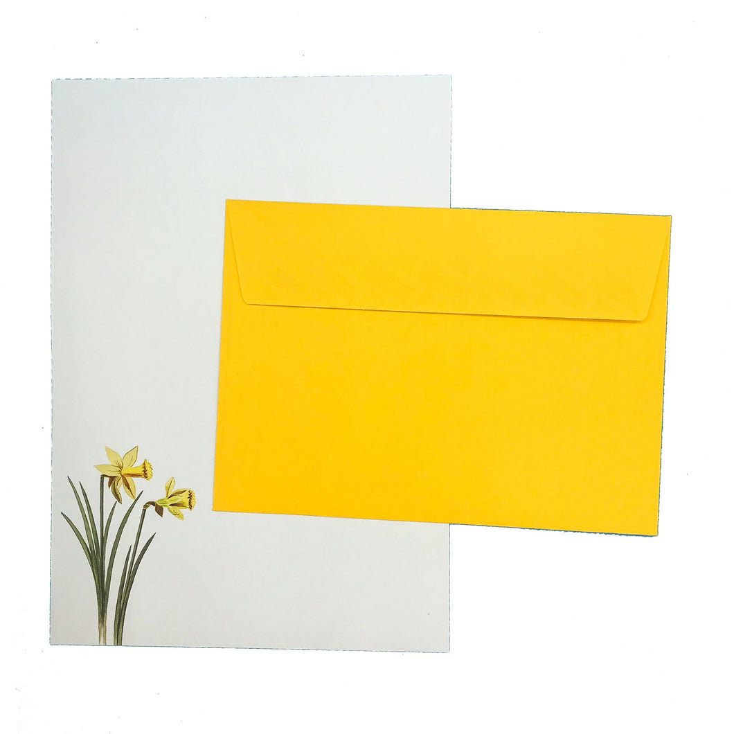 Wholesale Daffodil Writing Paper Compendium - Mustard and Gray Trade Homeware and Gifts - Made in Britain
