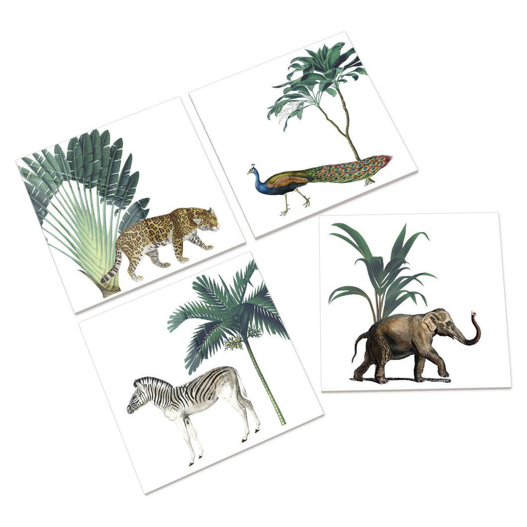 Wholesale Darwin's Menagerie Ceramic Coasters - Mustard and Gray Trade Homeware and Gifts - Made in Britain